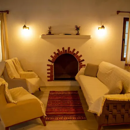 Villa Erguvan *