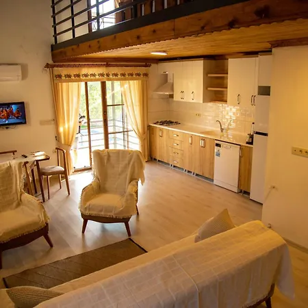 Erguvan Villa