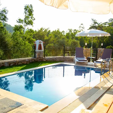 Villa Erguvan *